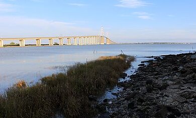 Conseil Immobilier La Loire-Atlantique, un marché dynamique dans l’immobilier