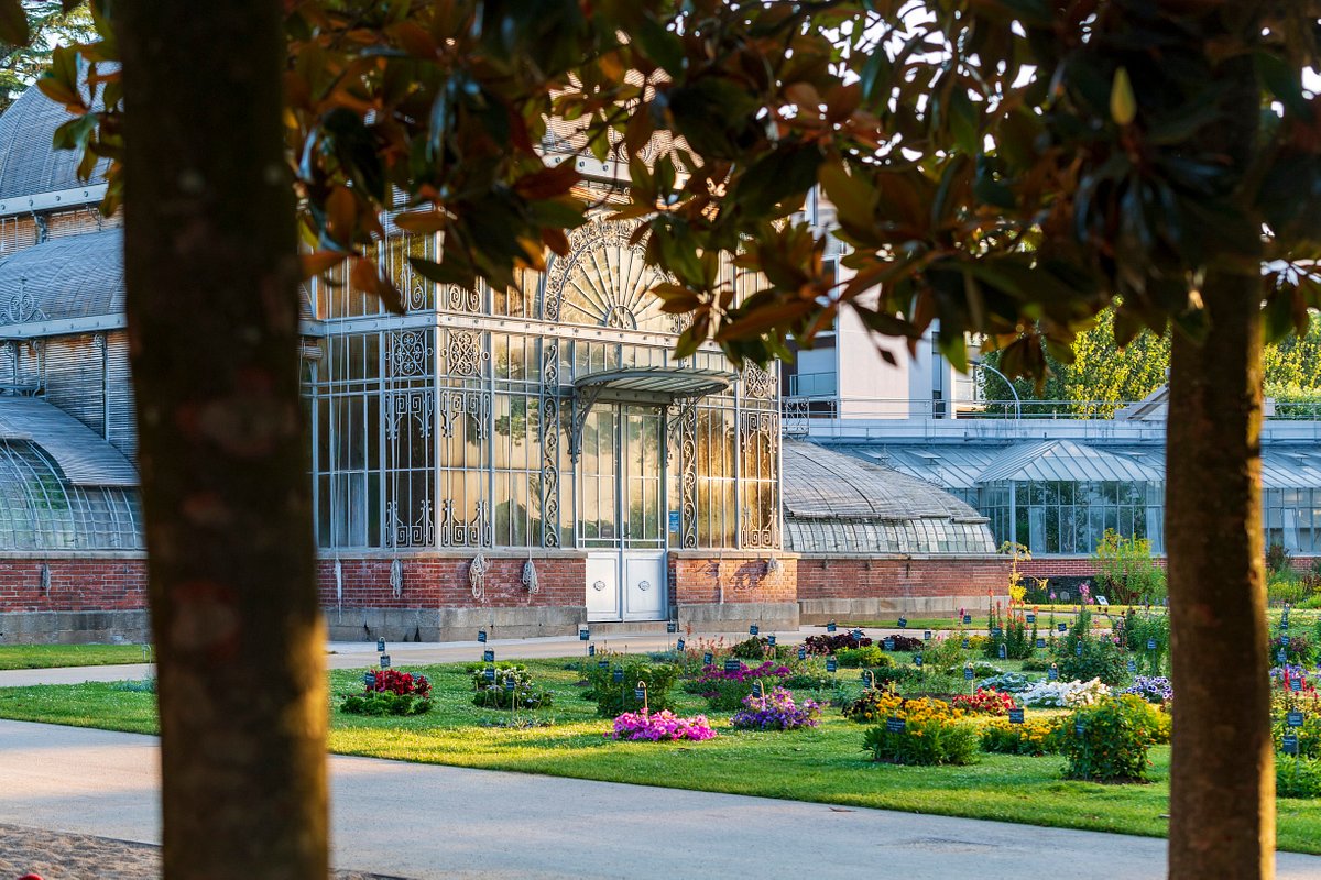 jardin des plantes